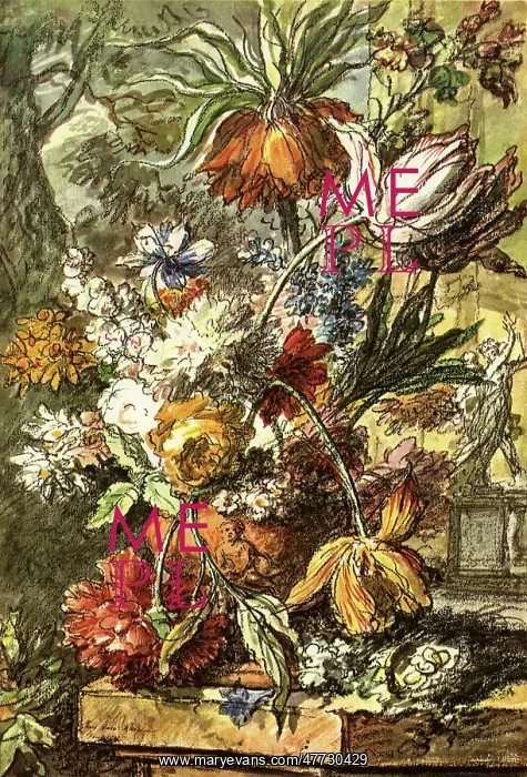 : Floral Still Life : Floral Still Life