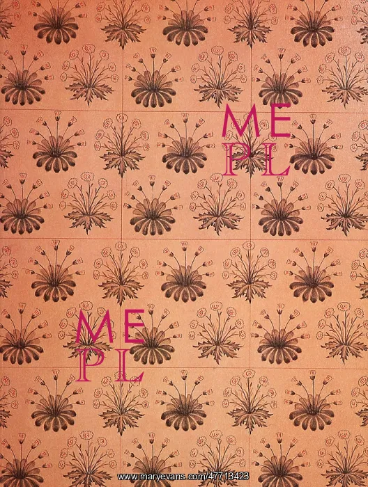  : Floral Pattern