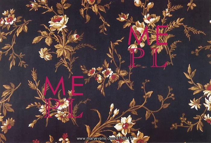  : Floral pattern of light brown flowers with red centers