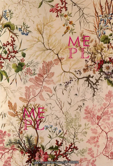 : Floral and Seaweed Design : Floral and Seaweed Design