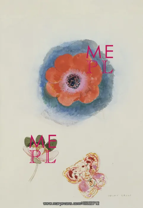 : Floral study : Floral study