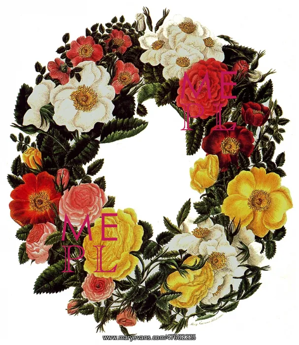 : Floral Wreath : Floral Wreath