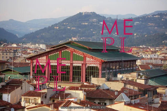 : Florence. High angle view of San Lorenzo Mercato Centrale : Florence. High angle view of San Lorenzo Mercato Centrale