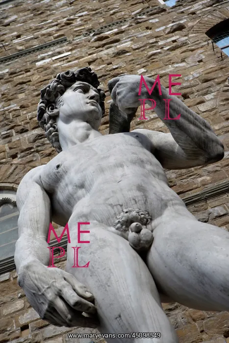 : Florence. Low angle view of replica of statue of David : Florence. Low angle view of replica of statue of David