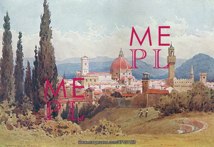 : FLORENCE / DISTANT VIEW : FLORENCE / DISTANT VIEW