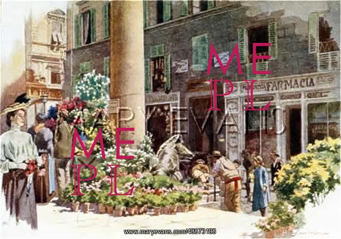  : FLORENCE / FLOWER MARKET