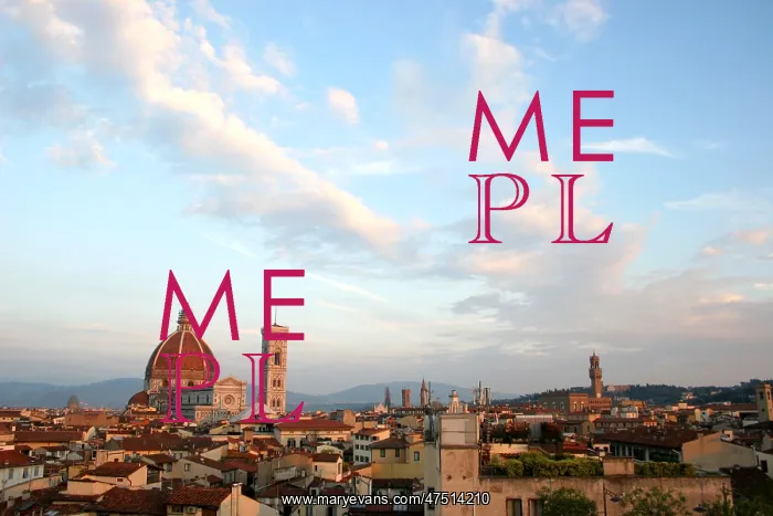  : Florence Skyline