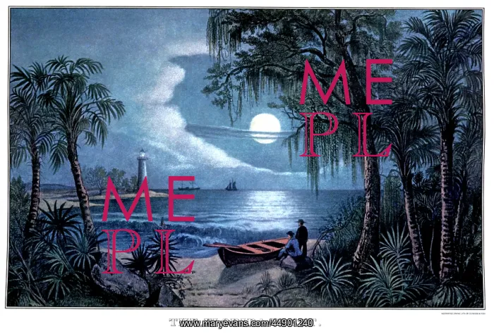  : the Florida Coast - Currier and Ives Lithograph - 1855