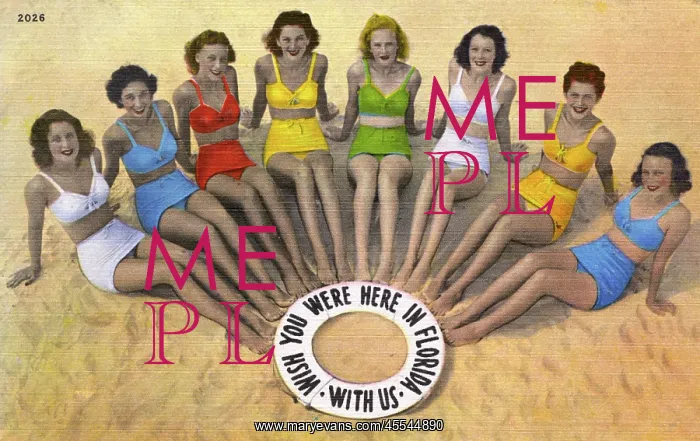 : Eight Florida girls in Bikinis on the beach : Eight Florida girls in Bikinis on the beach