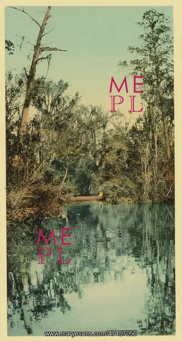 : Florida. Tributary of the St. Johns : Florida. Tributary of the St. Johns