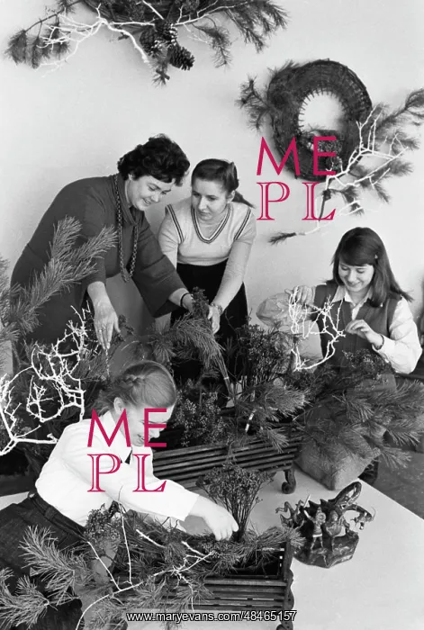 : Floristic club : Floristic club