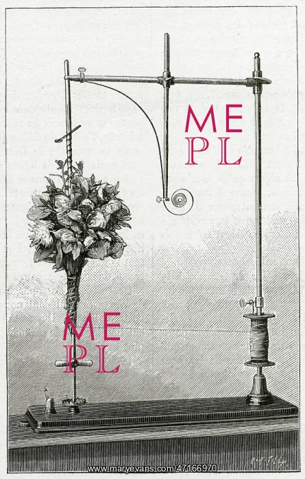 : Florist's device for fastening bouquets of flowers : Florist's device for fastening bouquets of flowers