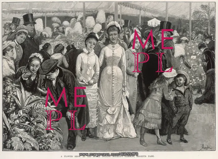 : Flower show 1880 : Flower show 1880