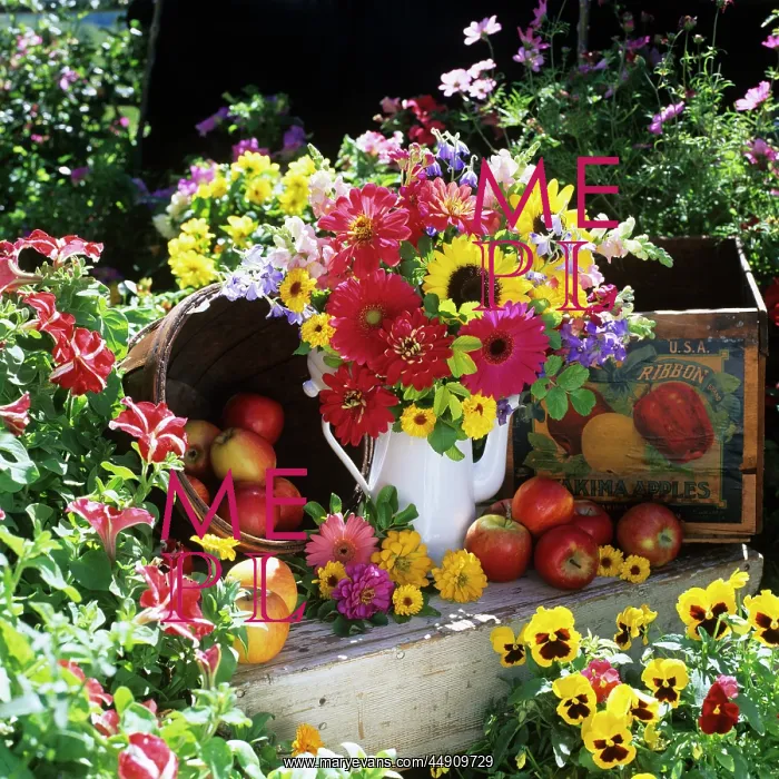 : Flower arrangement in garden setting with antique : Flower arrangement in garden setting with antique