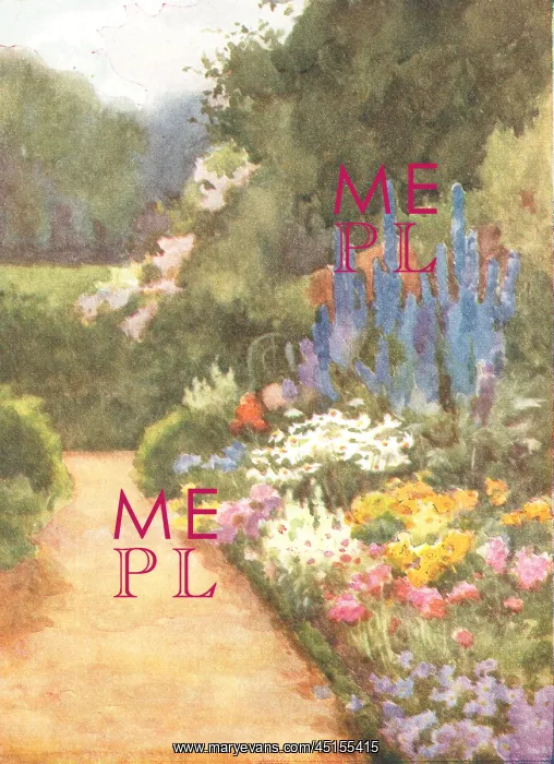 : Flower Bed : Flower Bed