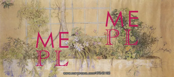 : Flower Bed : Flower Bed