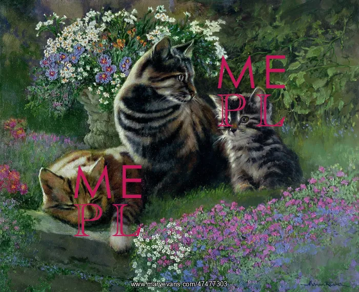 : Flower Bed with cats and kitten : Flower Bed with cats and kitten