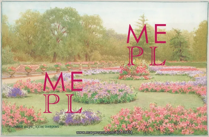 : Flower Beds, Kew Gardens : Flower Beds, Kew Gardens