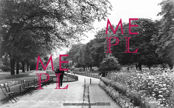: The Flower Beds in Regent's Park : The Flower Beds in Regent's Park