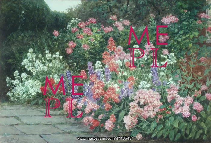 : Flower border : Flower border