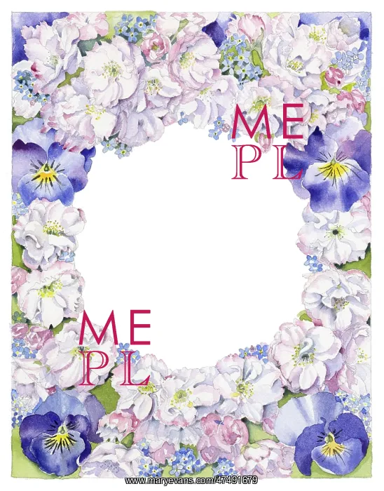 : Flower border ? Pansies, Forget-me-not etc : Flower border ? Pansies, Forget-me-not etc