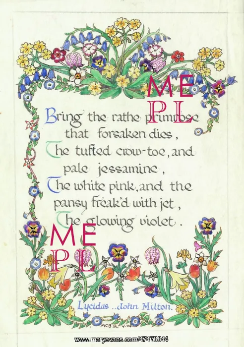  : Flower border and verse