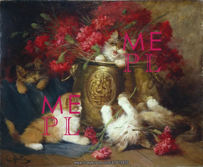 : In the Flower Bucket - Four Kittens : In the Flower Bucket - Four Kittens