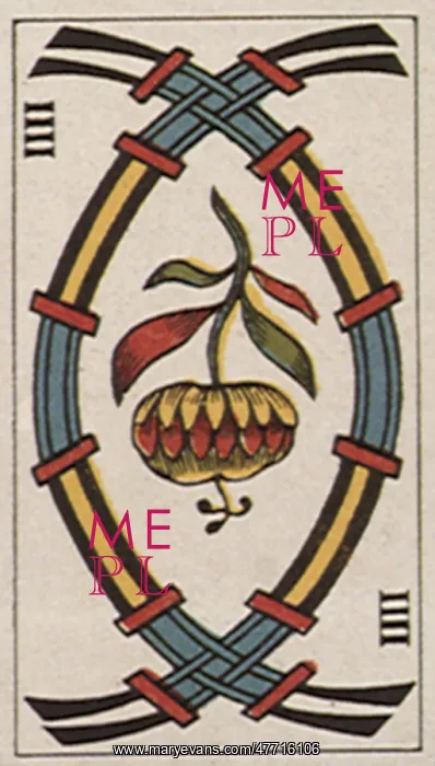  : Flower Card