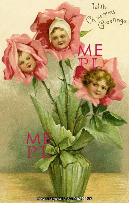 : Flower faces : Flower faces