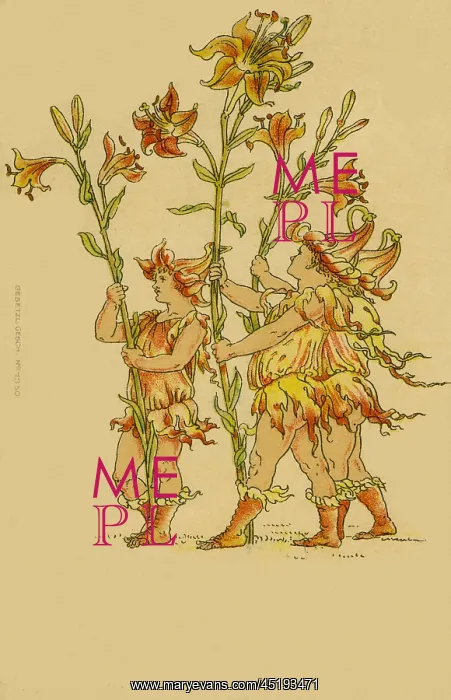 : Flower Fairies from A Masque of Flowers : Flower Fairies from A Masque of Flowers