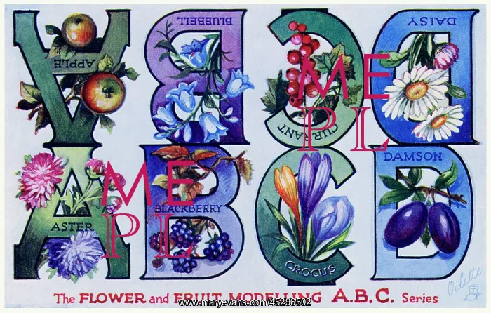 : Flower & Fruit ABC : Flower & Fruit ABC