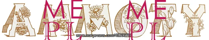  : Flower & Fruit ABC