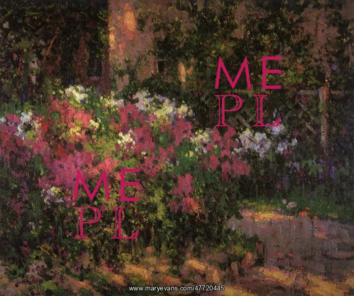  : The Flower Garden