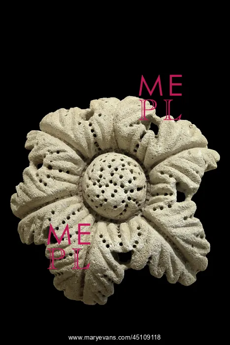 : Flower, Hellenistic, Museum of Apollonia, Fier, Albania : Flower, Hellenistic, Museum of Apollonia, Fier, Albania