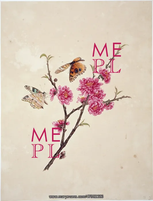 : Flower Illustration from the Reeves Collection : Flower Illustration from the Reeves Collection