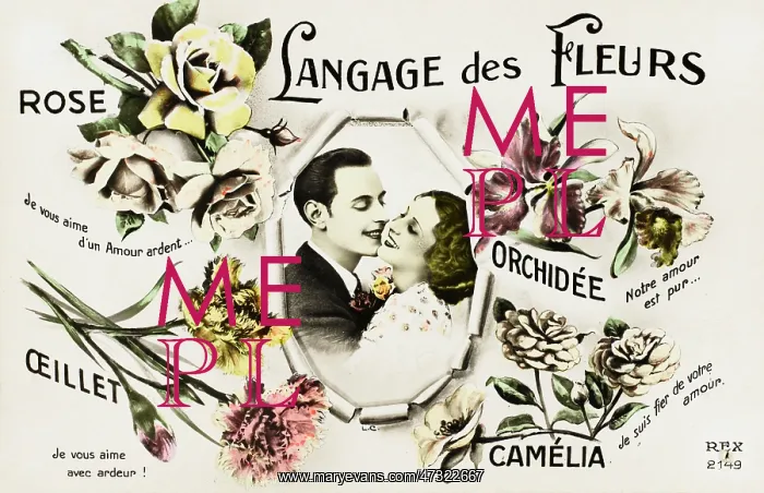 : Flower Languages and Variations in French : Flower Languages and Variations in French