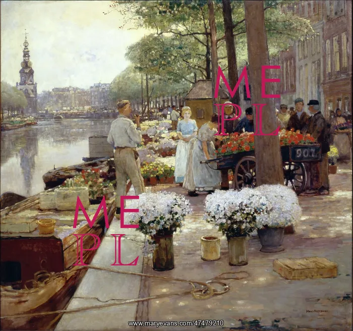 : Flower Market along the Singel, Amsterdam : Flower Market along the Singel, Amsterdam