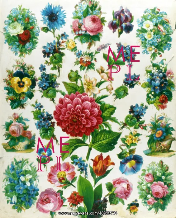 : Flower pattern samples : Flower pattern samples