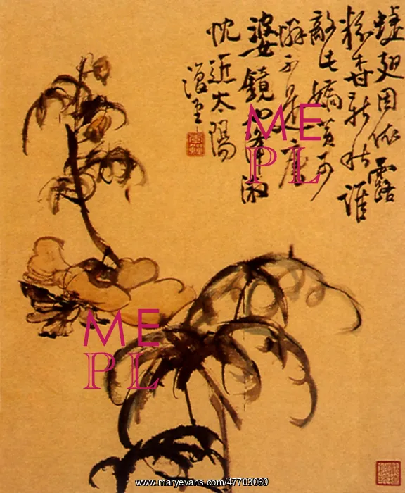  : Flower and Plant