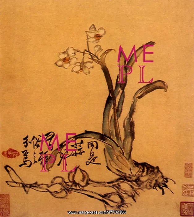  : Flower and Plant