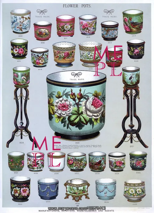 : Flower Pots, Plate 64 : Flower Pots, Plate 64