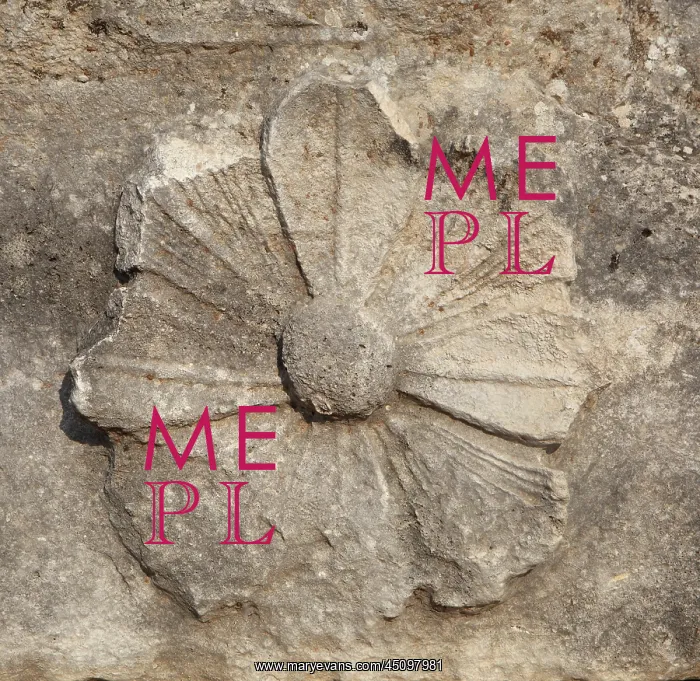 : Flower relief, Temple of Apollo, Letoon, Antalya, Turkey : Flower relief, Temple of Apollo, Letoon, Antalya, Turkey