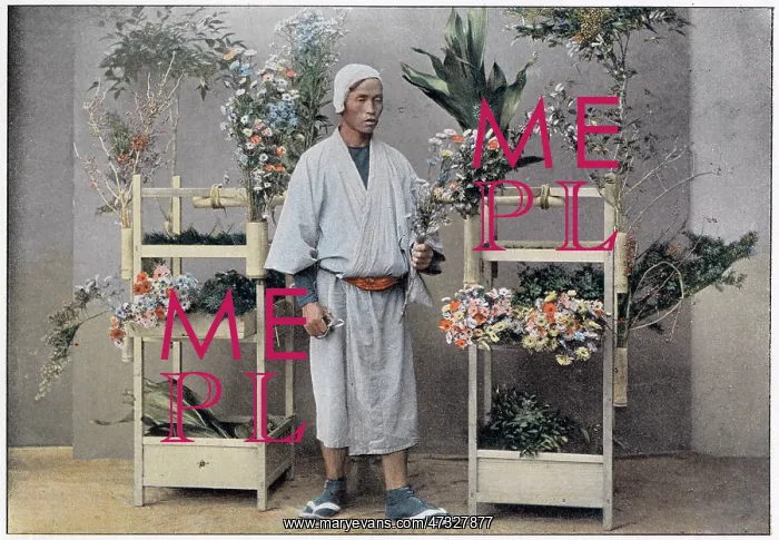 : FLOWER SELLER JAPAN : FLOWER SELLER JAPAN