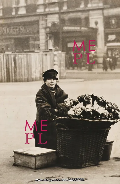 : FLOWER SELLER / PICCADILLY : FLOWER SELLER / PICCADILLY