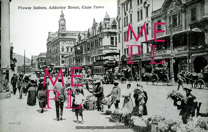  : Flower sellers, Adderley Street, Cape Town, South Africa