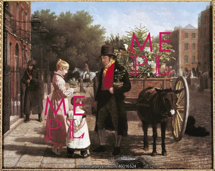 : The flower vendor : The flower vendor