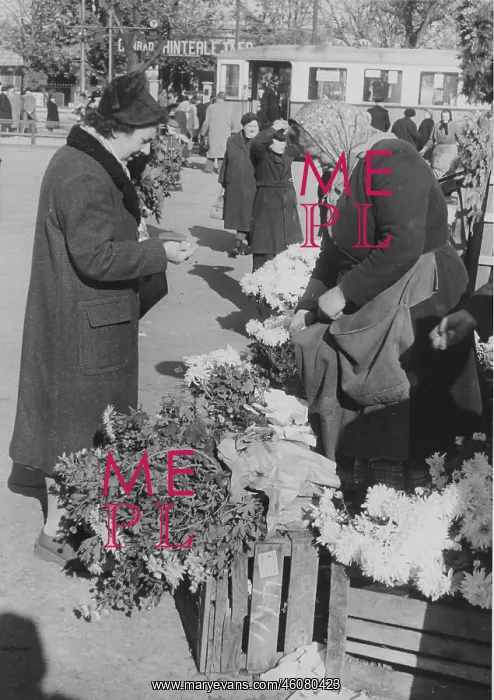 : Flower vendor at the gate 2 of the Vienna Central : Flower vendor at the gate 2 of the Vienna Central