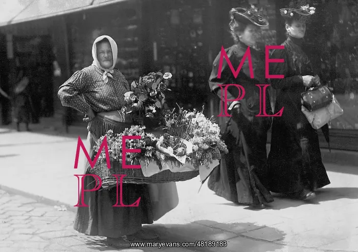 : Flower vendor in Vienna : Flower vendor in Vienna