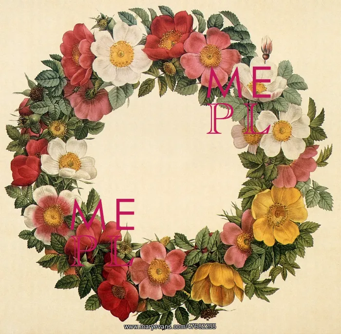 : Flower Wreath : Flower Wreath