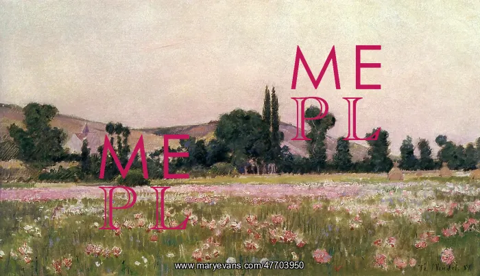  : Flowering Fields, Giverny